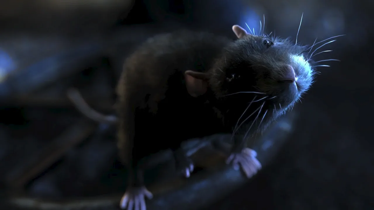 One Rat Short (2006) – Masterpiece of style, narrative and direction