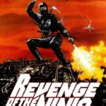Poster for the movie "Revenge of the Ninja"