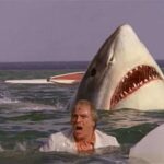 Image from the movie "The Last Shark"