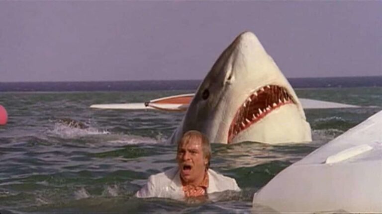 Image from the movie "The Last Shark"