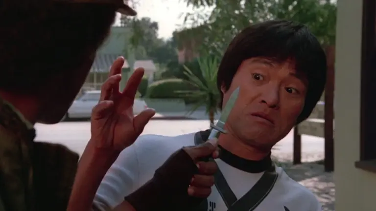 They Call Me Bruce? (1982): A Comedy of Kung Fu and Confusion