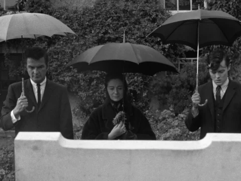 DEMENTIA 13 (1963) A low-budget horror thriller written and directed by Francis Ford Coppola in his feature directorial debut. Because the copyright registration was not renewed in the United States, the original 1963 film entered the public domain, allowing it to be freely shared, hosted, and viewed online.